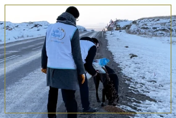deprem_bölgesinde_sokak_hayvanları-03.webp (42 KB)