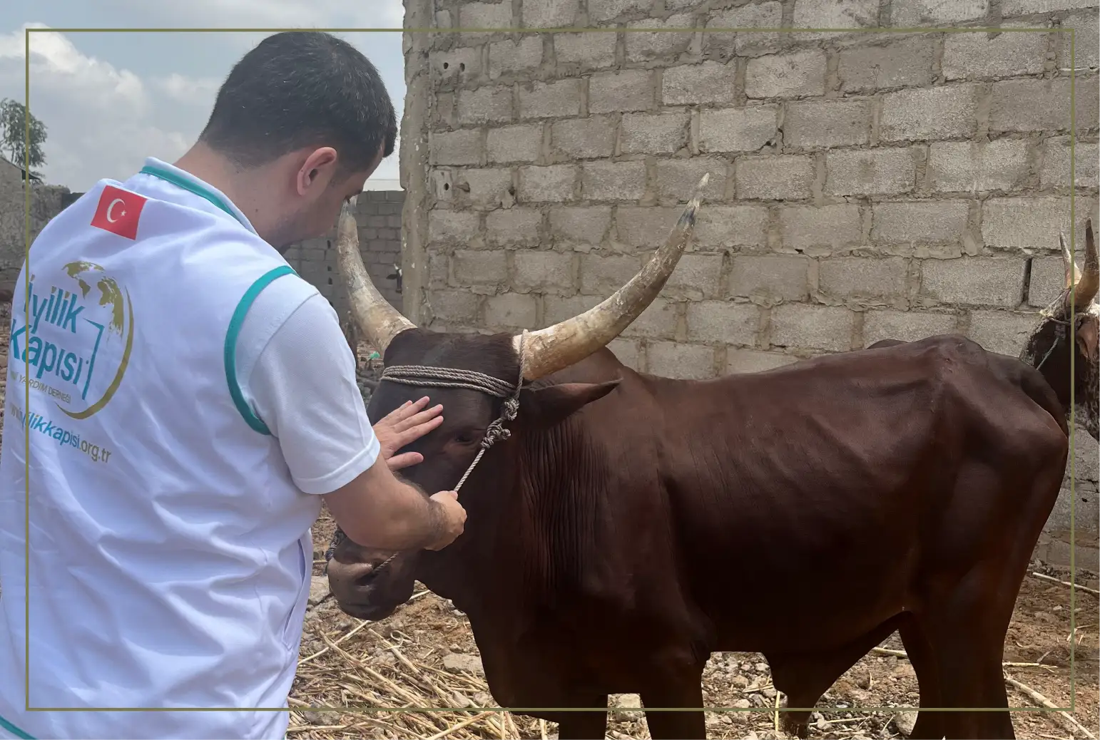 2024_kurban2.webp (154 KB)